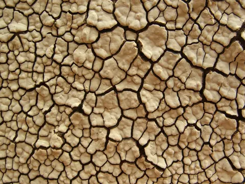 Ceramic Parchment